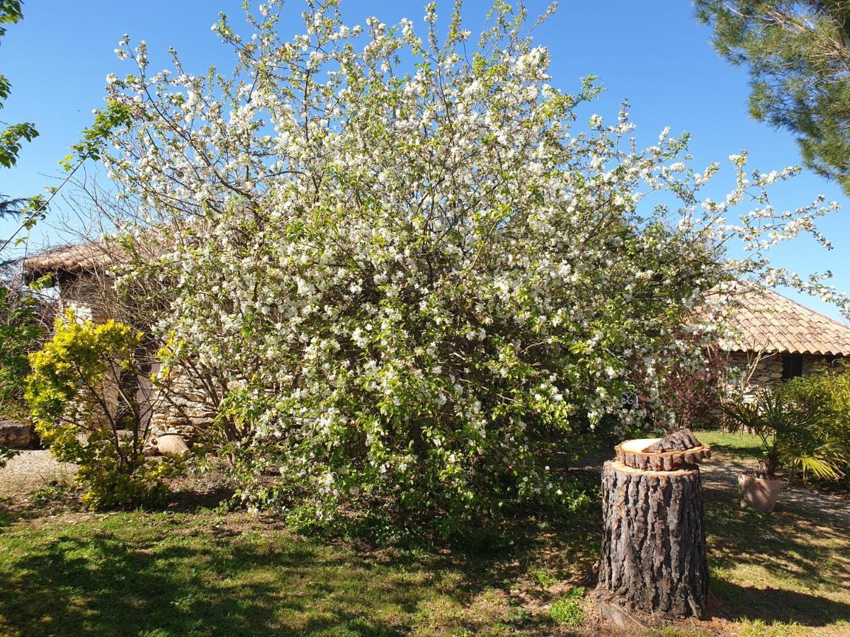 Monestier  Le Clos D'Almide المظهر الخارجي الصورة