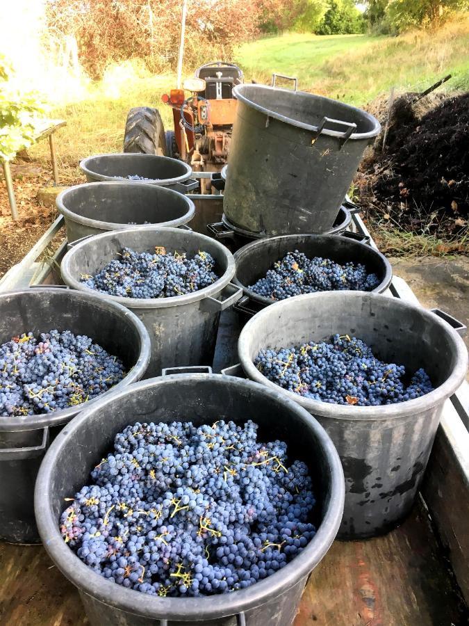 Monestier  Le Clos D'Almide المظهر الخارجي الصورة