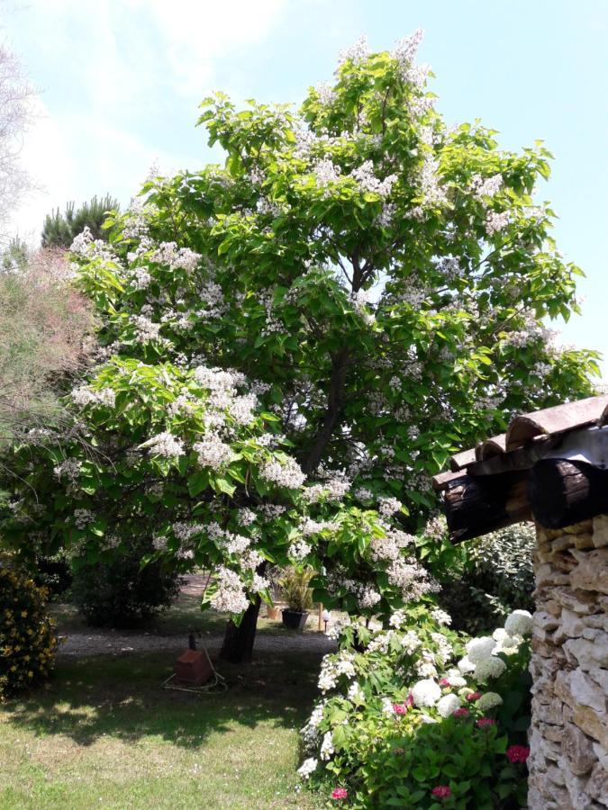 Monestier  Le Clos D'Almide المظهر الخارجي الصورة
